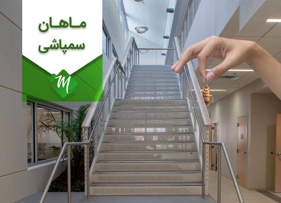 سمپاشی مشاعات در تهران
