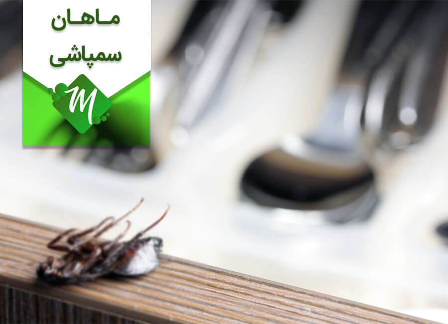 سمپاشی رستوران در تهران